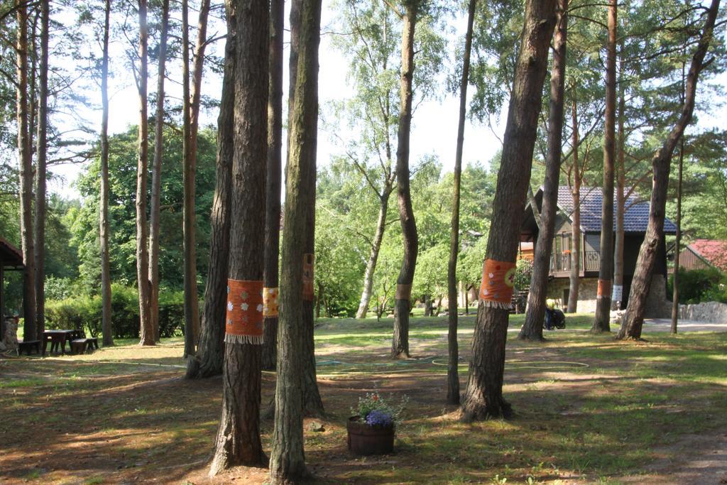 Verbelnieki Pērkone エクステリア 写真